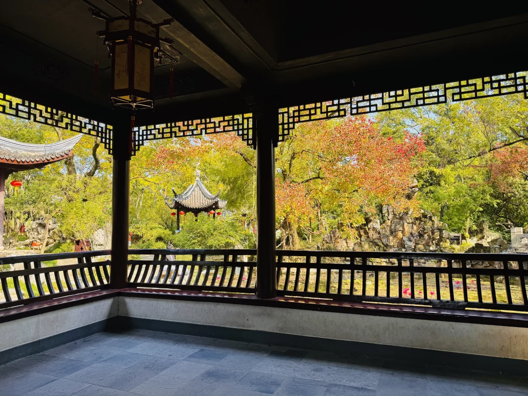 11.15实拍live💕上海古猗园｜小众赏秋地🍁