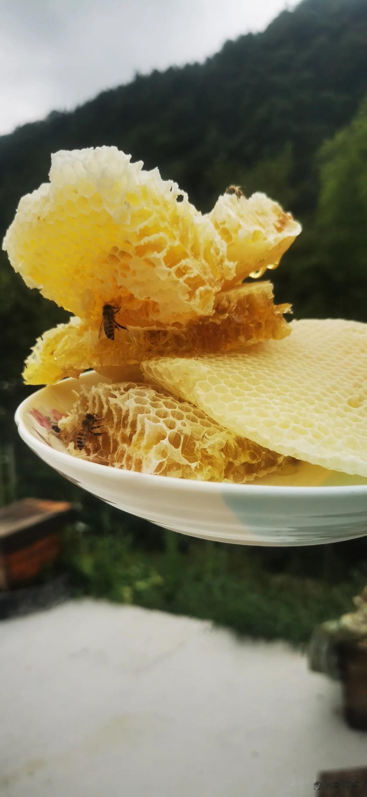 这才是没有喂过白糖的蜂蜜，
纯的土蜂蜜，跟你以前可能买到的蜂蜜大不同，试了你才知