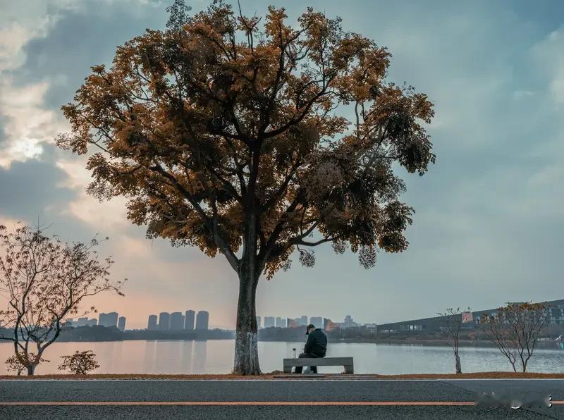 我的职场里，没有“人情味”这三个字
 
上周四早上，我摸着额头烫得发懵，体温计显