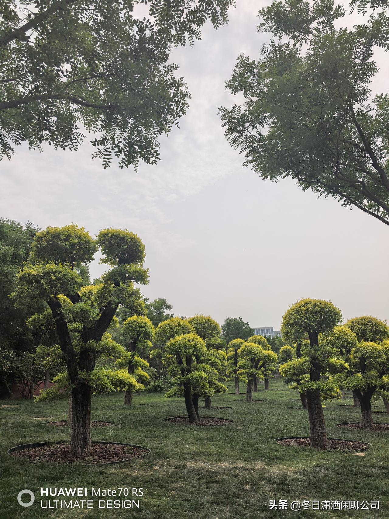 国有六大行的股东，都赚钱了吗？

1.工商银行
股东人数78.83万户，目前每股