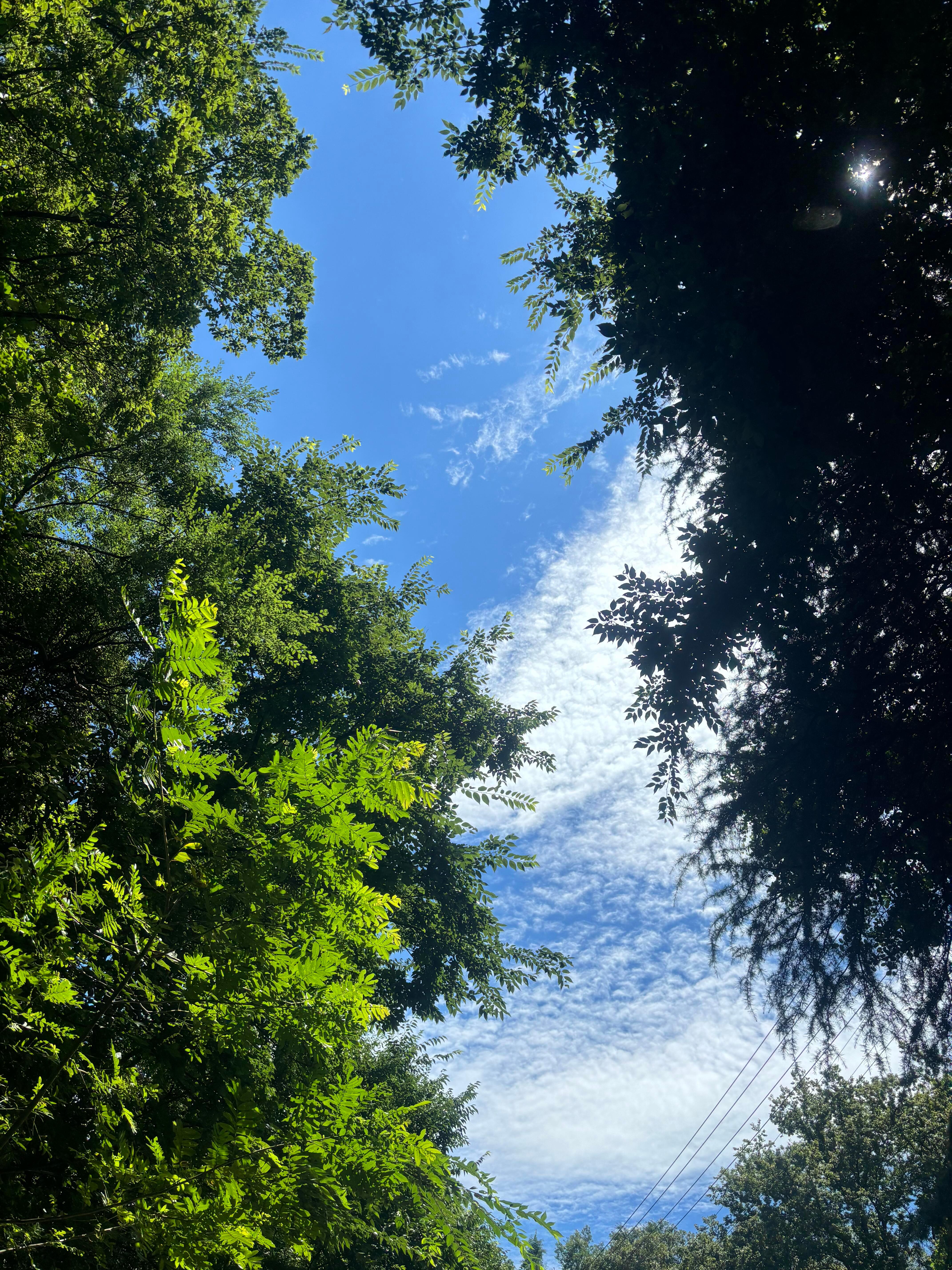 借一池凉水,偷半日清闲。 