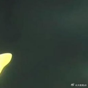 生活不止眼前的苟且，还有诗和远方的田野 