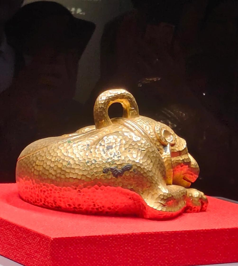 这是两个网友发的“金兽”图片，
图一：今年七月照的
图二；今年九月照的
图一的“