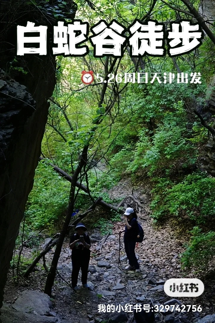 天津徒步|夏日徒步清凉山谷