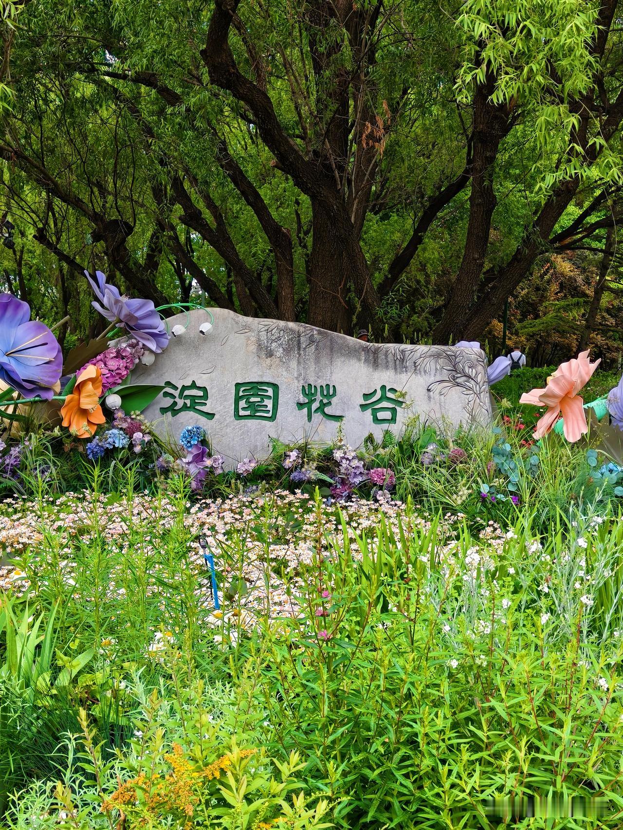 奔赴海淀花谷，撞进一片烂漫花海，各色小花肆意盛放，风里都是温柔的花香，连时光都慢