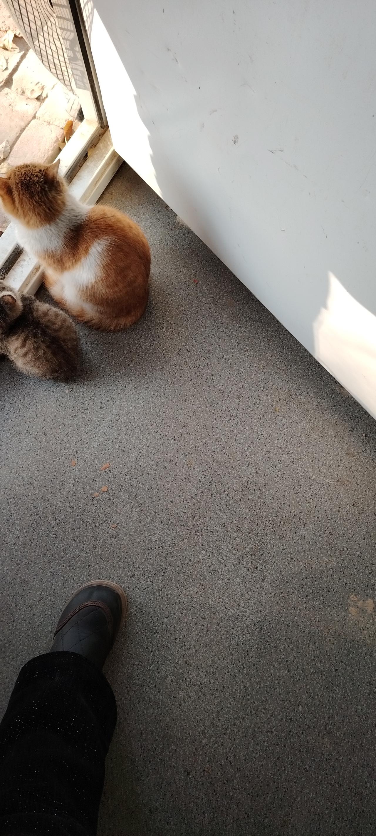 冬日生活打卡季冬日随手拍 冬日生活日常