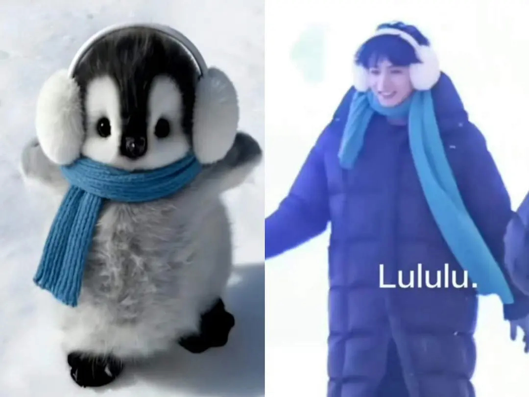 王鹤棣刘耀文蒸桑拿第一个小企鹅塑刘耀文的是天才