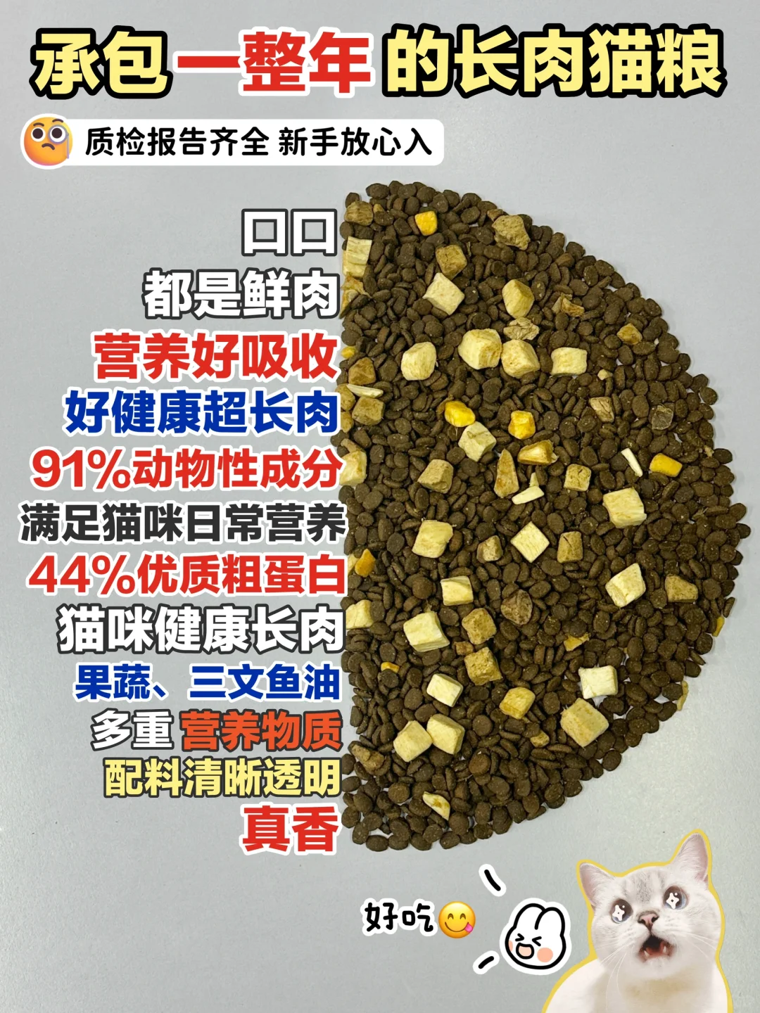 承包一整年的长肉猫粮！选粮不迷糊！！
