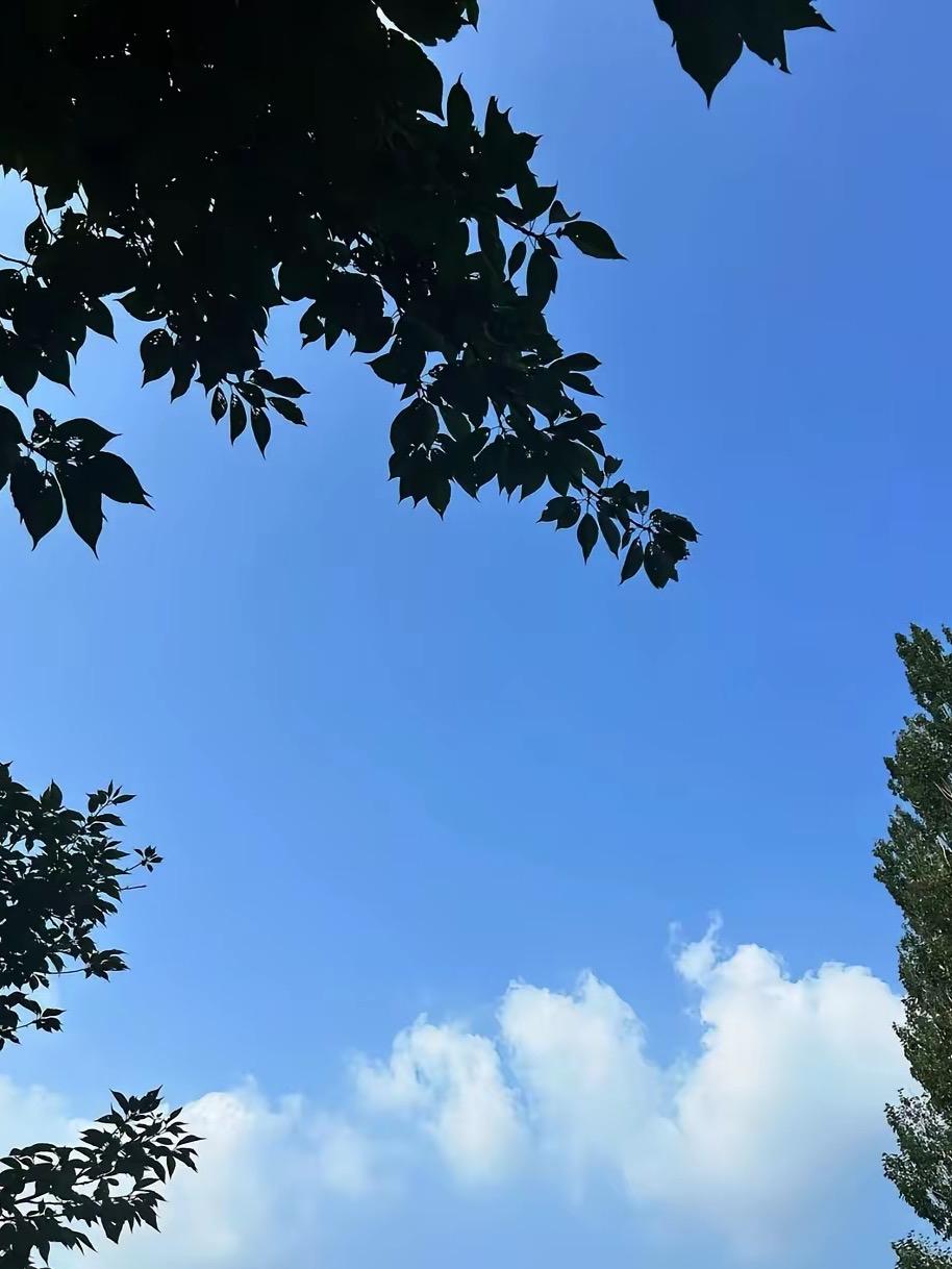 亲姐借15万给外甥结婚，我没借，她摔门就走
​​昨晚我姐来借钱，张口就要十五万给