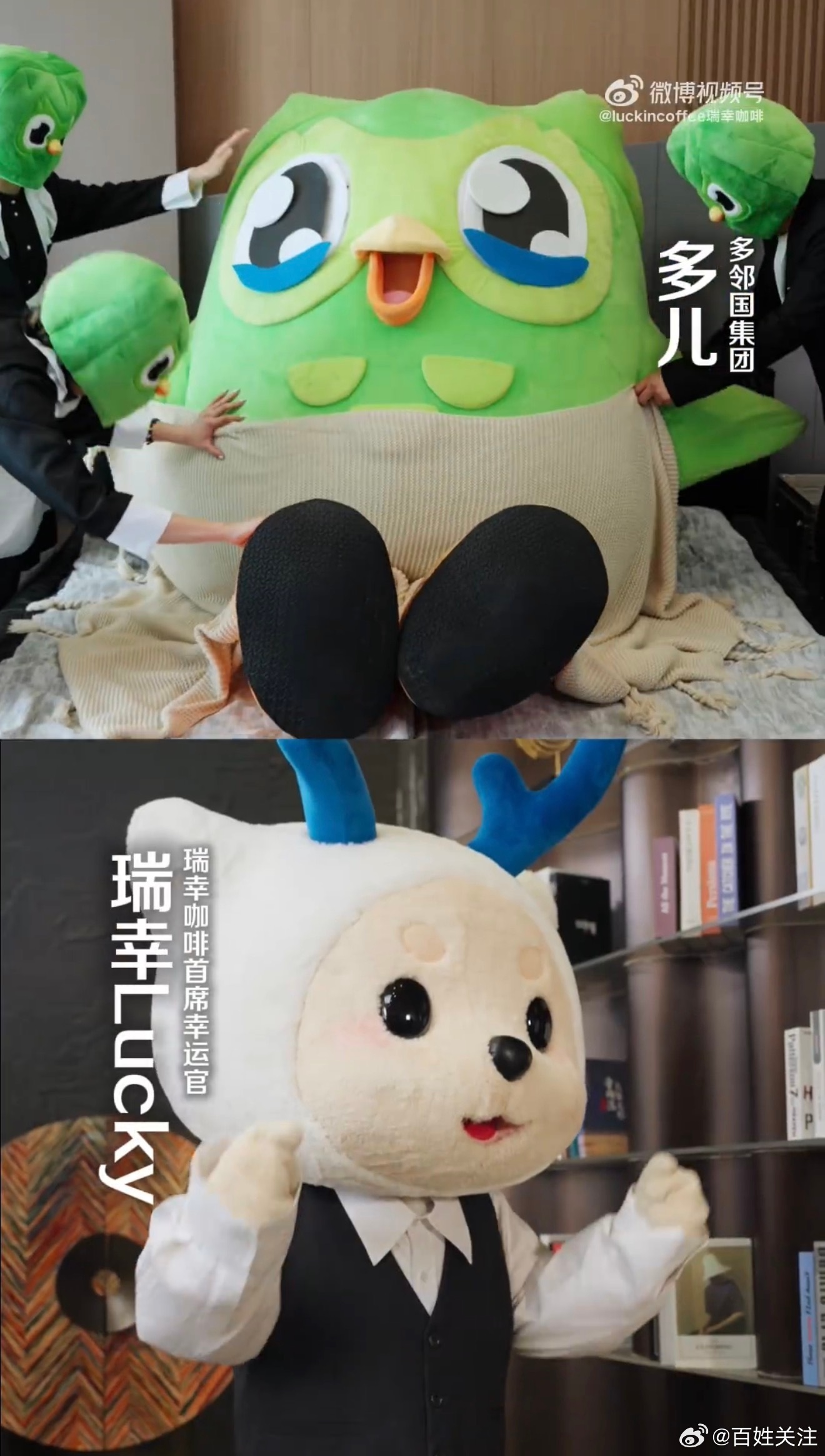 瑞幸多邻国官宣生子没想到这对跨界搭档合作两年，这俩萌物太可爱了，日常喝咖啡学语言