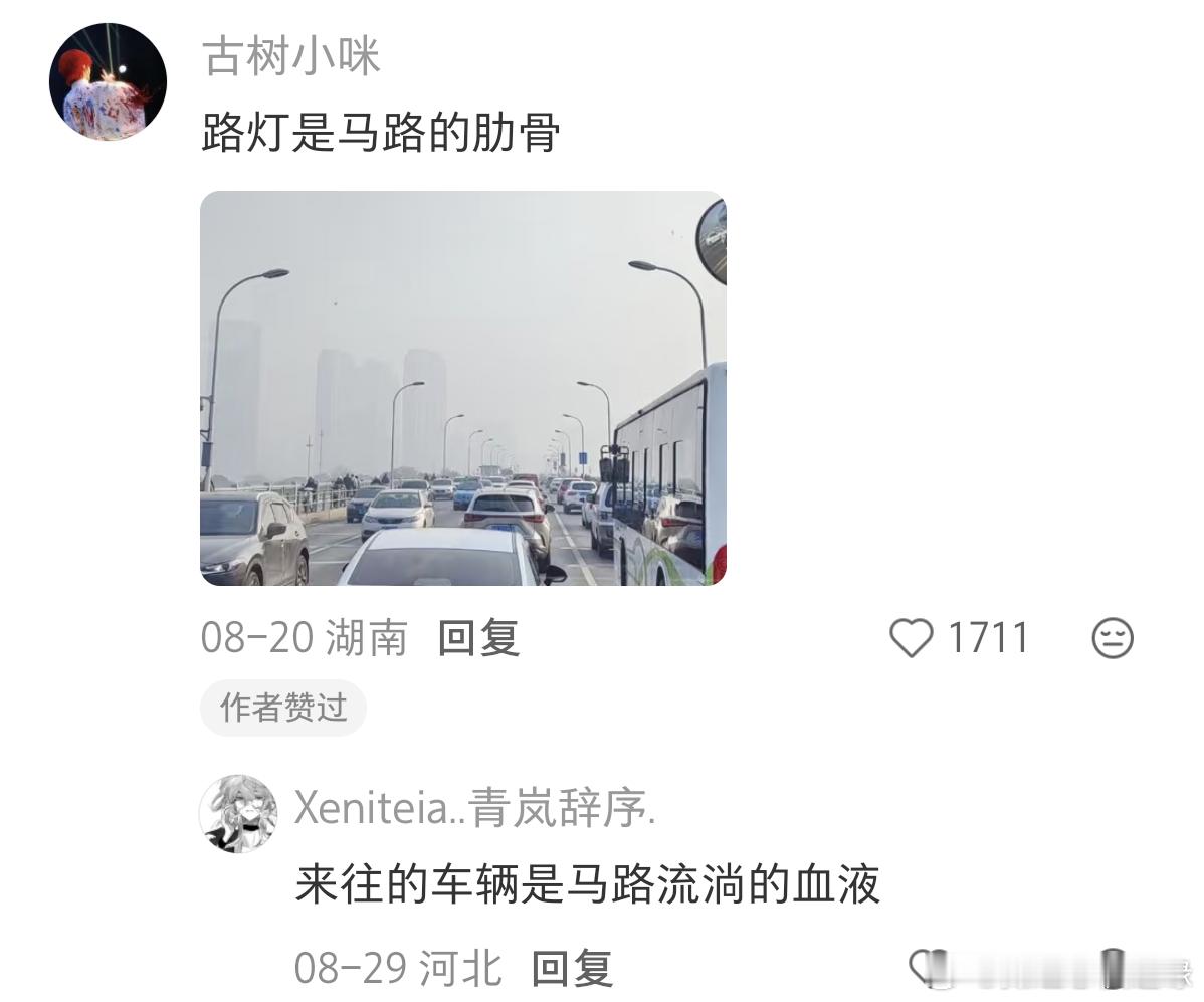 突然感觉好怪异，马路在呼吸 ​​​