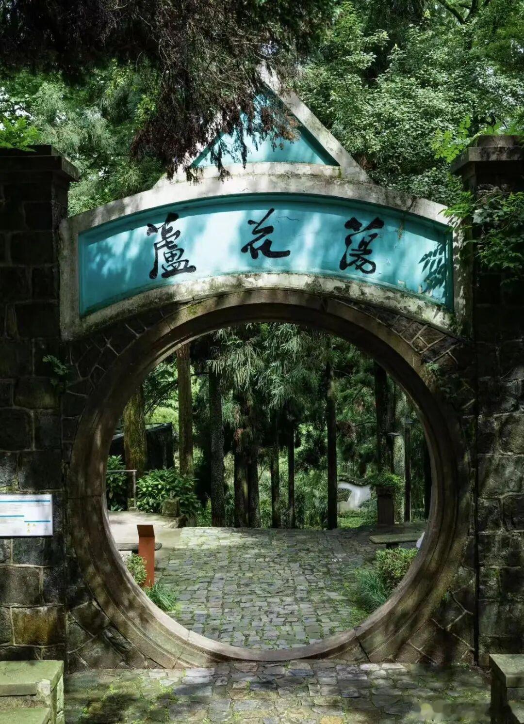 盛夏追光之旅微博旅行ing被《中国国家地理》誉为江南第一名山的莫干山，整座城镇被