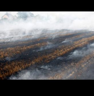 其实关于秸秆焚烧问题社会争论很大！
一方认为几千年的农业生产的传统，可以让土壤补