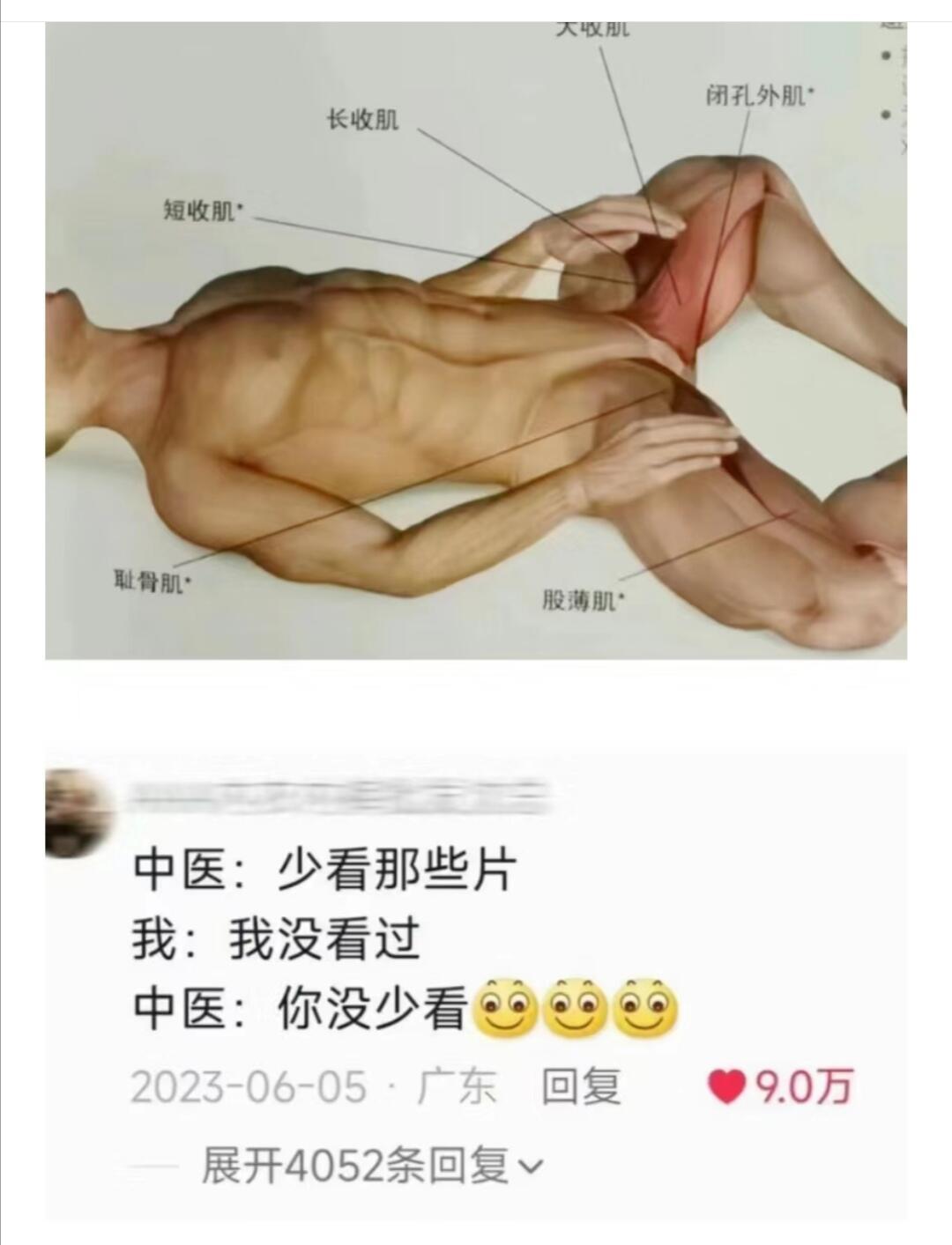 中医！你说话也太直接了吧 ​​​