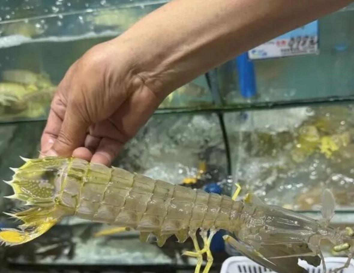 三亚四只皮皮虾1035元事件，被冤枉的店主已于事发次日离世，谁又该为他的死买单呢