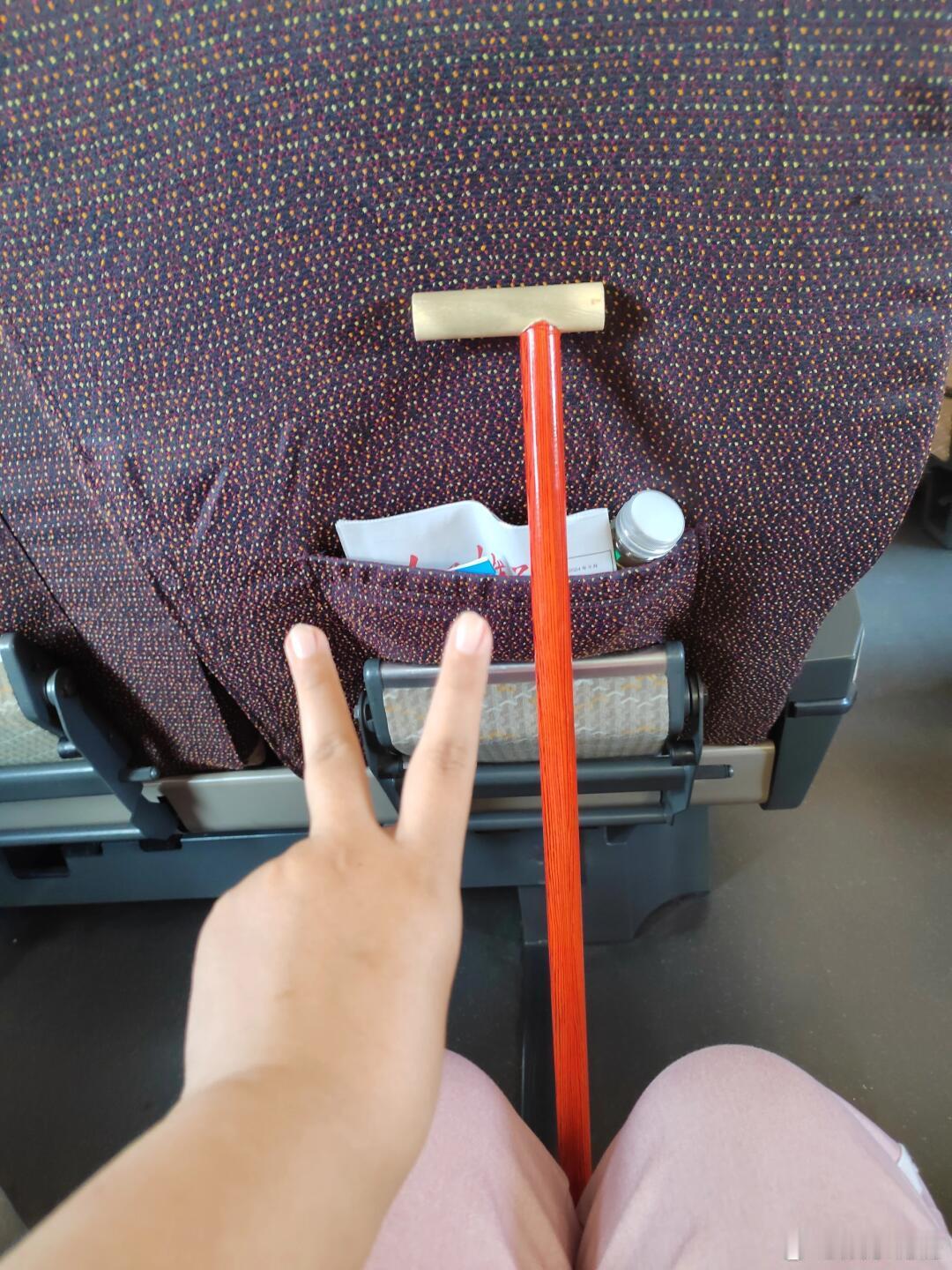 原来泰山的特产是棍子  在线求问，还有什么超前的梦中情棍可以爆改登山棍呢，下周就