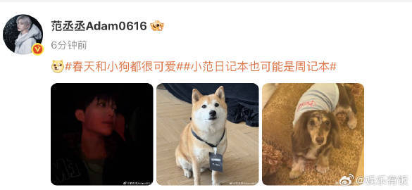 范丞丞的小狗有艺人团队证反差萌暴击！帅脸氛围感拉满，自家小狗还持证上岗当团队一员