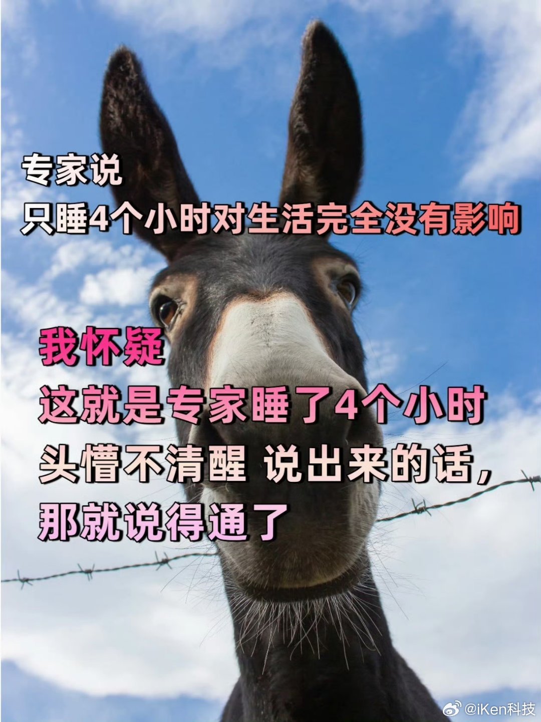 当专家说只睡四个小时没影响我每天没睡够我就不得劲不得劲的结果就是每天睡不够……我