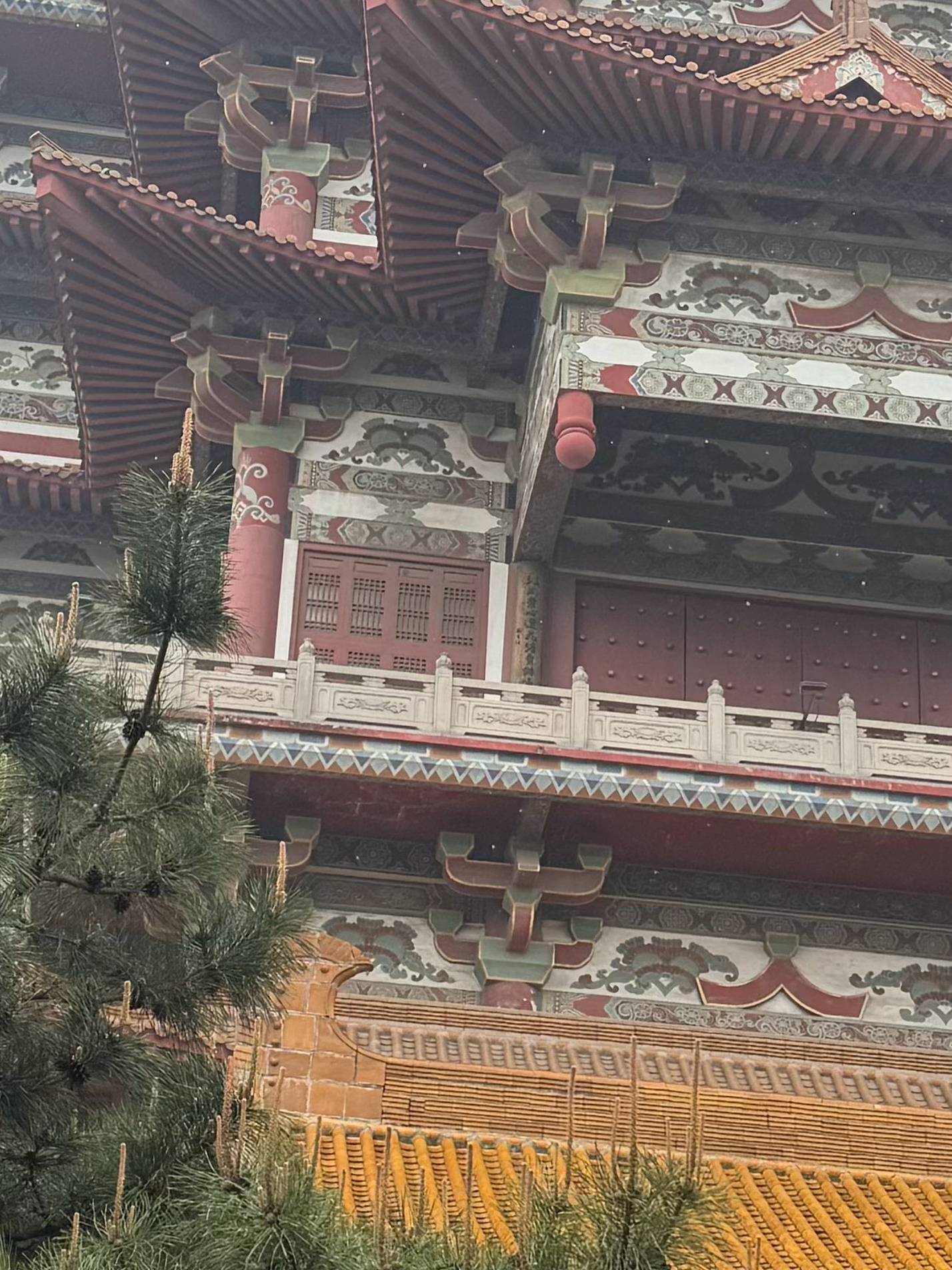 七月旷野上，上万朵向日葵构成金色漩涡。它们清晨随朝阳昂首，黄昏伴余晖低眉，花盘始