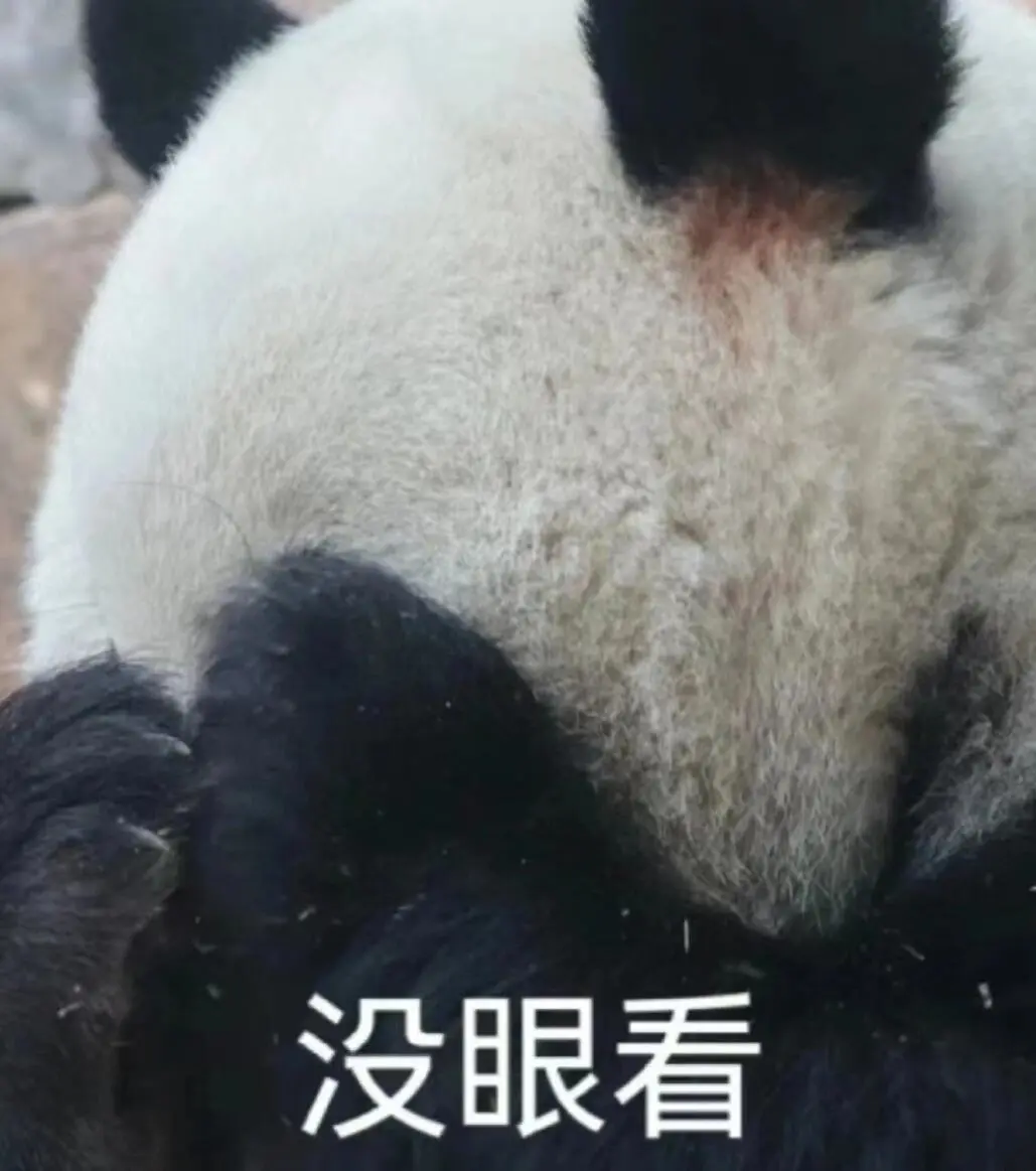 分享一些收藏的大熊猫表情包