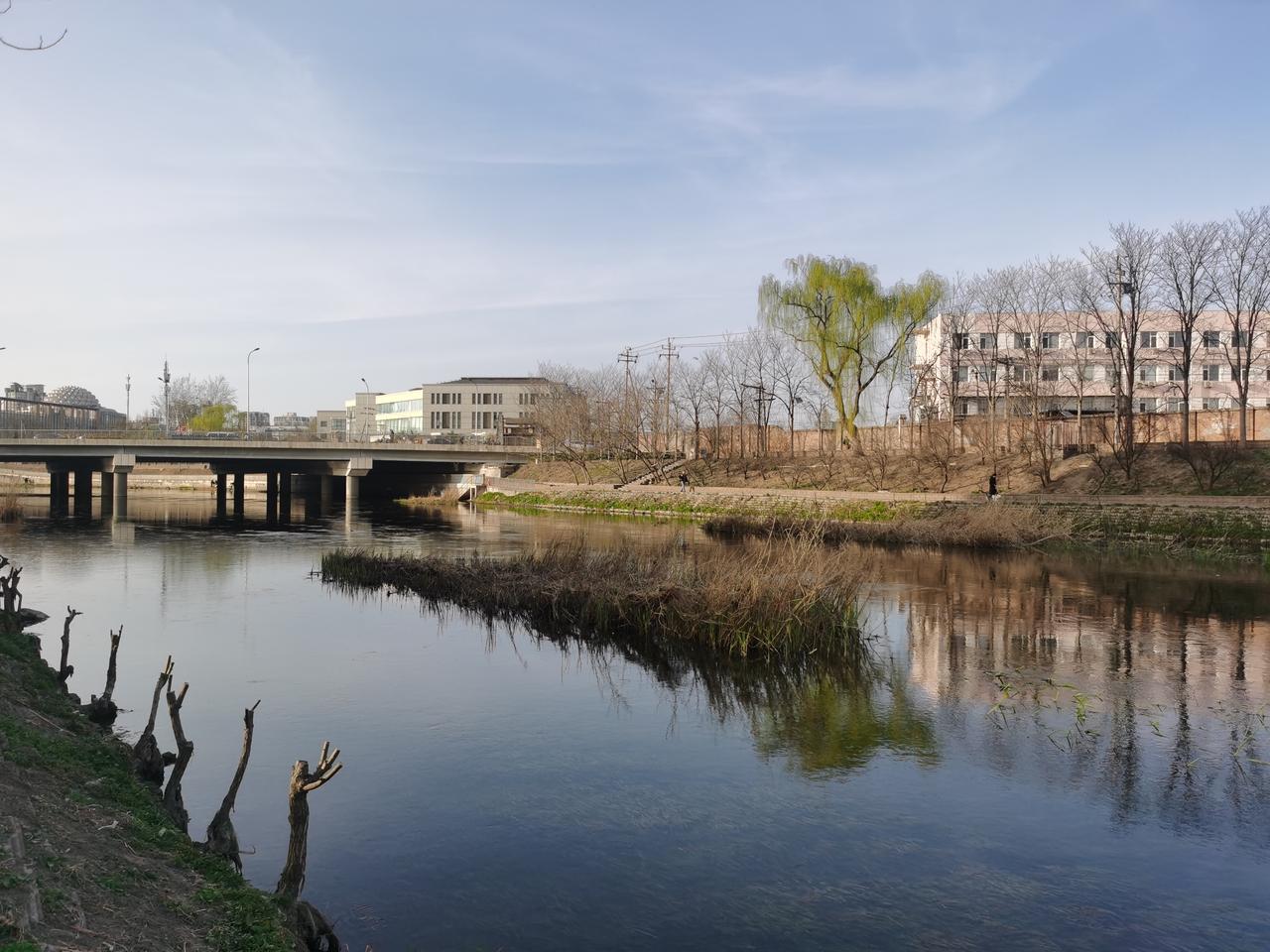 今年春天最想实现的心愿 今年春天，我最想实现“出去走走”的心愿。
冬天憋闷了许久