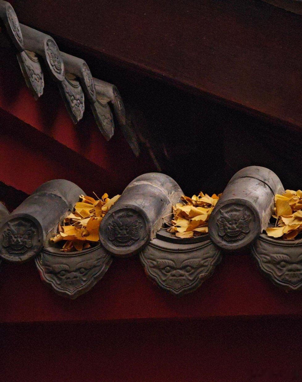 王猛在桓温和苻坚之间，选择了苻坚。桓温也是一代枭雄，但是王猛看不上他。王猛觉得桓