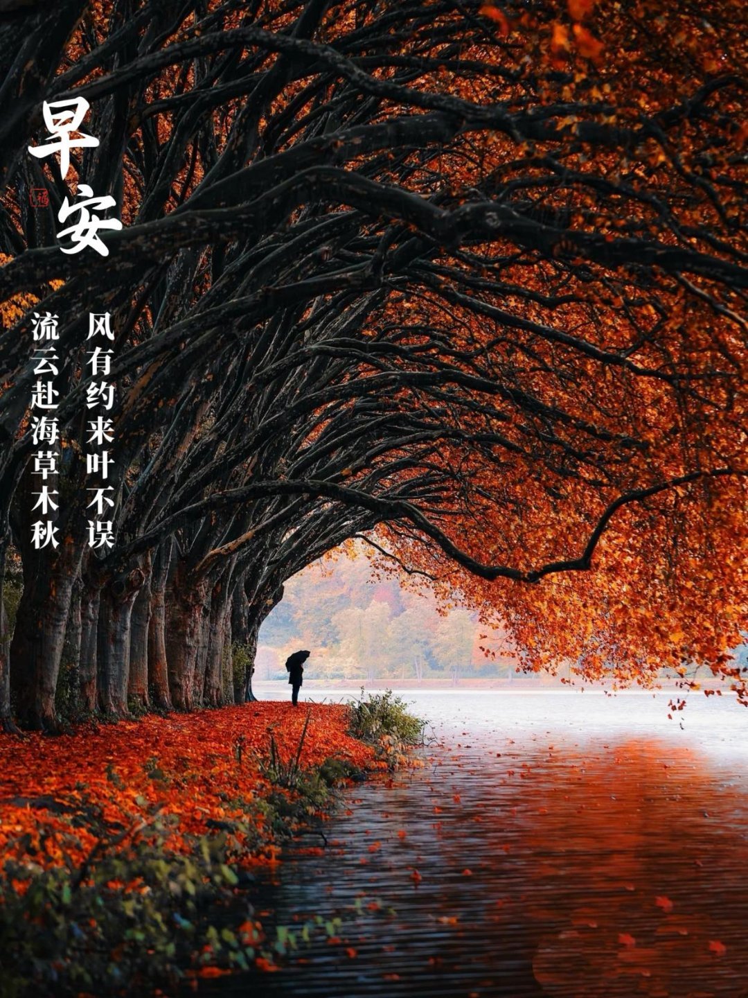 早安[超话] 保持良好的心态，就是最好的风水，每个人都有自己的节奏，静待时运到来