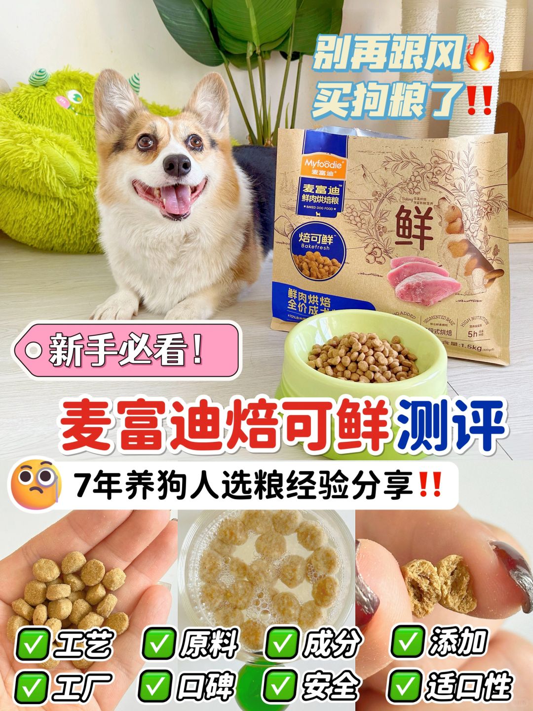 请大数据推送给所有纠结选狗粮的姐妹！！