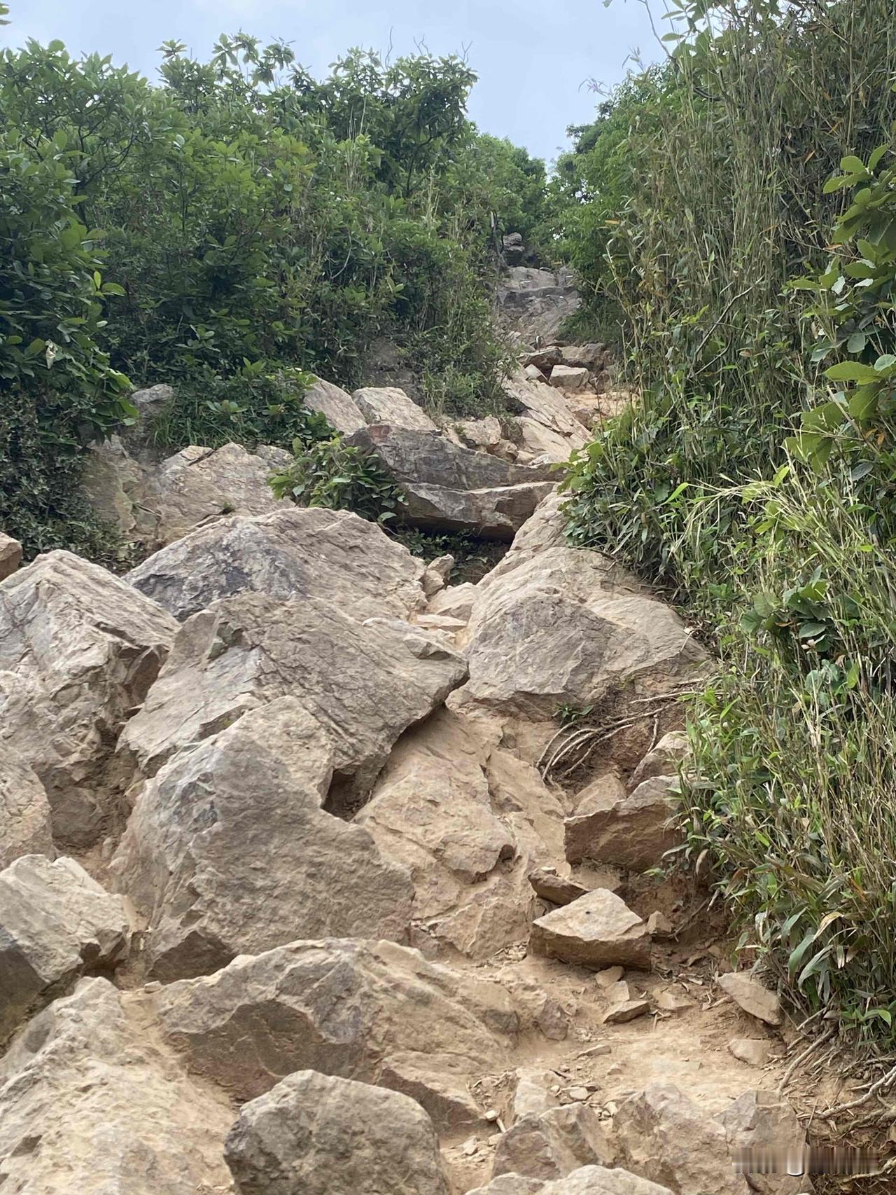 我们就是从没有台阶的乱石堆绝望坡，艰难地爬上三百多米高大阳山南峰俯象峰的。
大阳