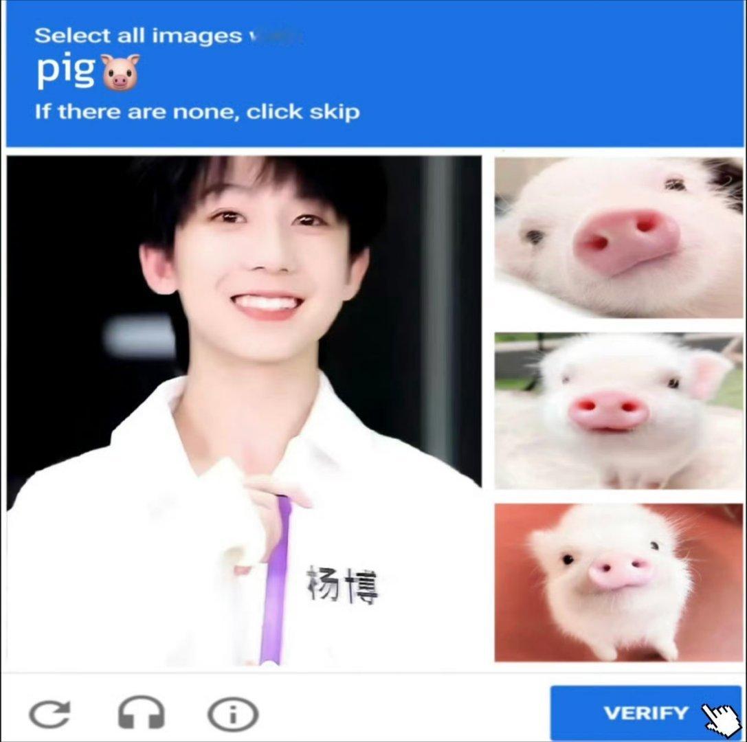杨博文 你是谁家的小猪˙Ꙫ˙