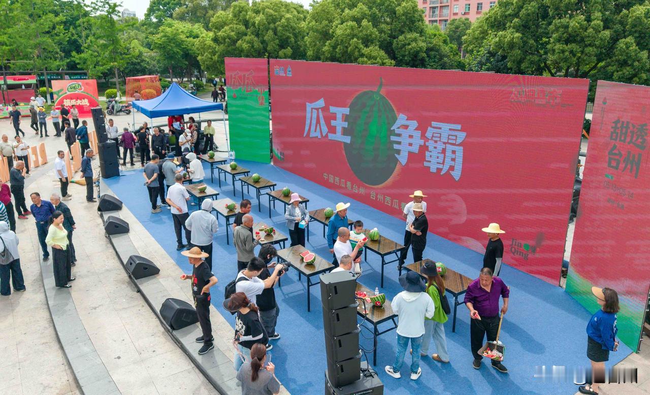 4小时售罄5000个！台州人疯狂抢购的西瓜有多绝

5月13日，台州路桥金清镇举