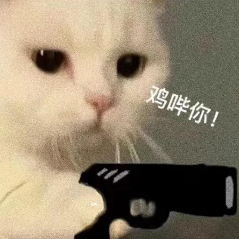 分享一下可可爱爱奇奇怪怪有有趣趣的表情包。表情包
