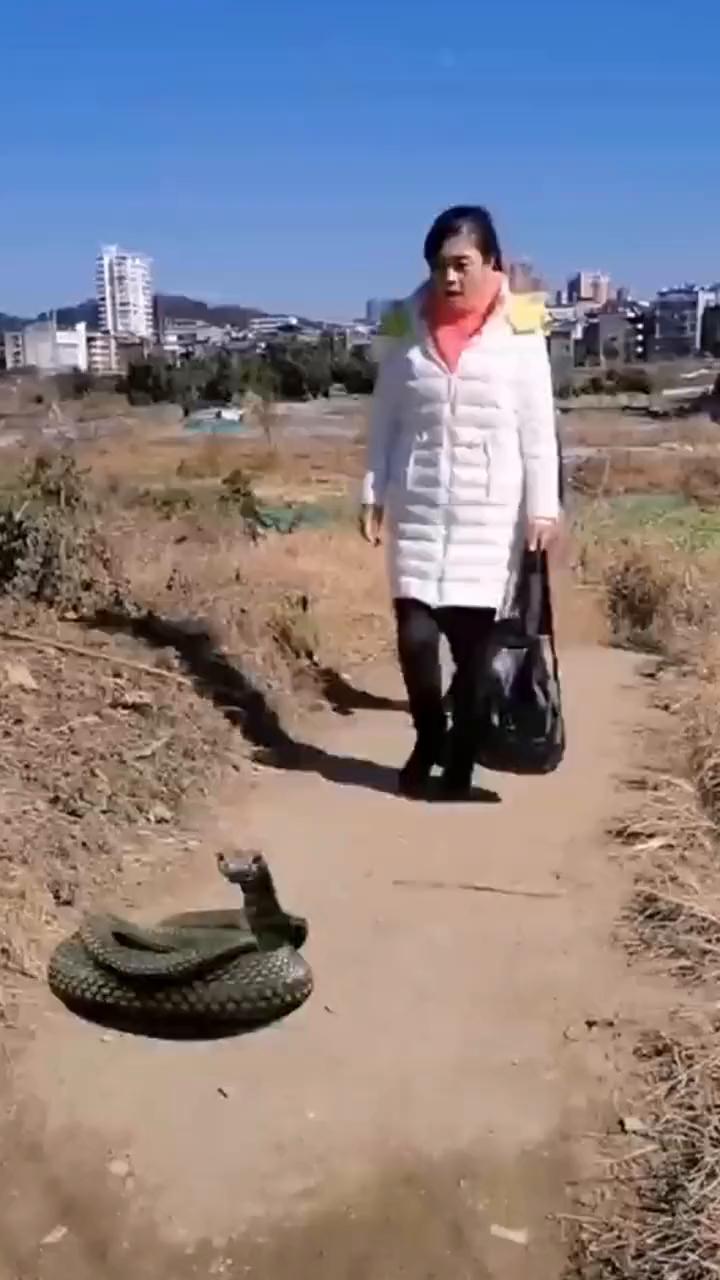 从今以后命苦没有了，灾难没有了，绊脚石也没有了。就是有一点我感觉你还是看不上师傅