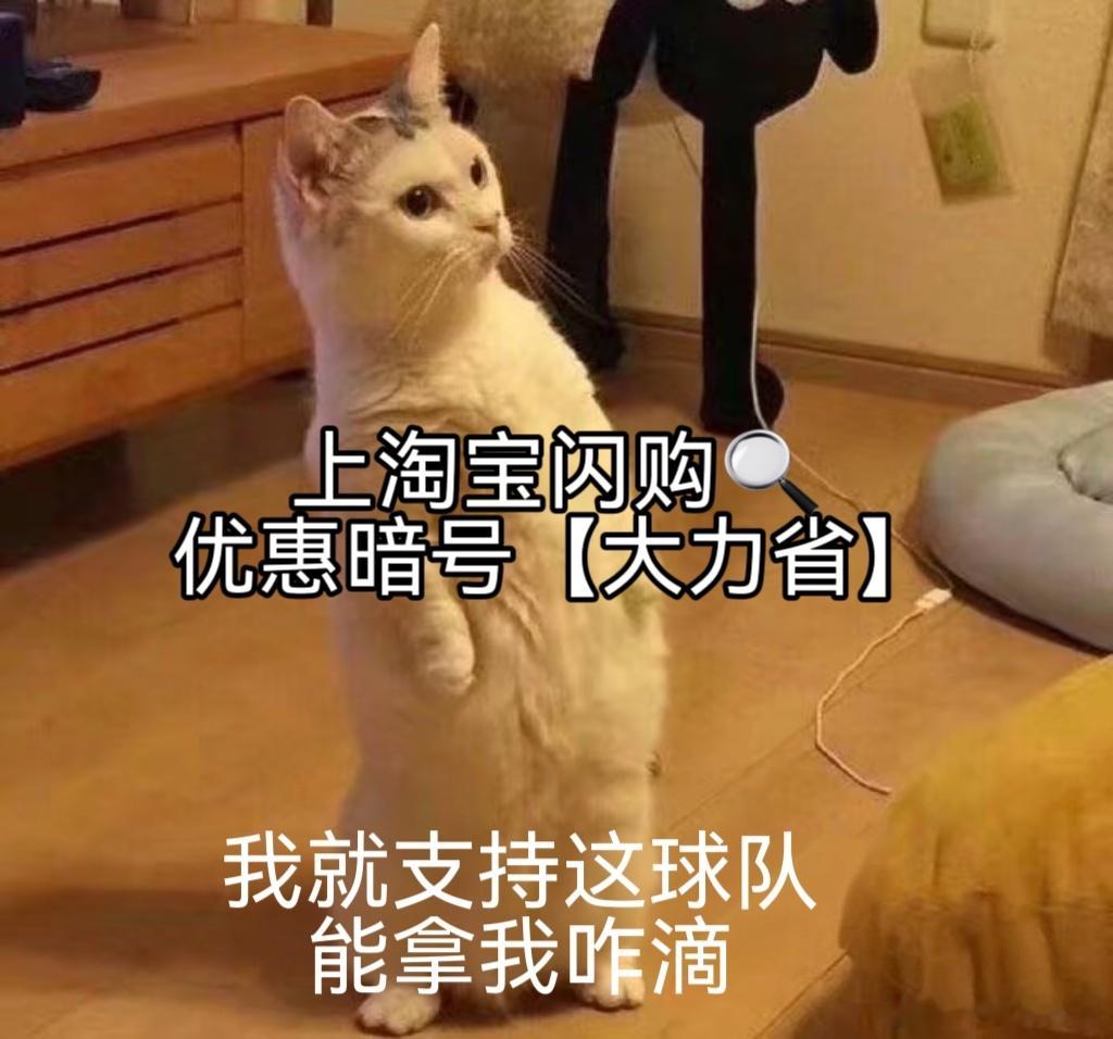 开场五分钟快速破门，瞬间点燃熬夜看球兴致！约好友点夜宵，上淘宝闪购搜【大力省】囤