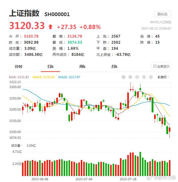 金针探底！在绝望中给人希望，今天有些“市场底”的味道了！数据新规等于将数字资产注