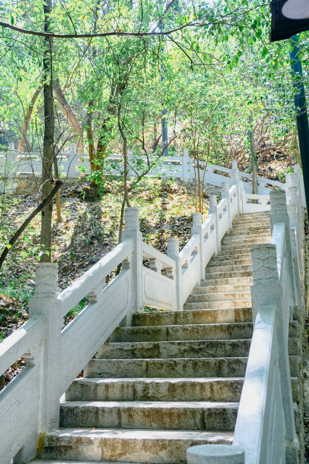 武汉❗️春天超值得去的3条🆓赏景徒步路线