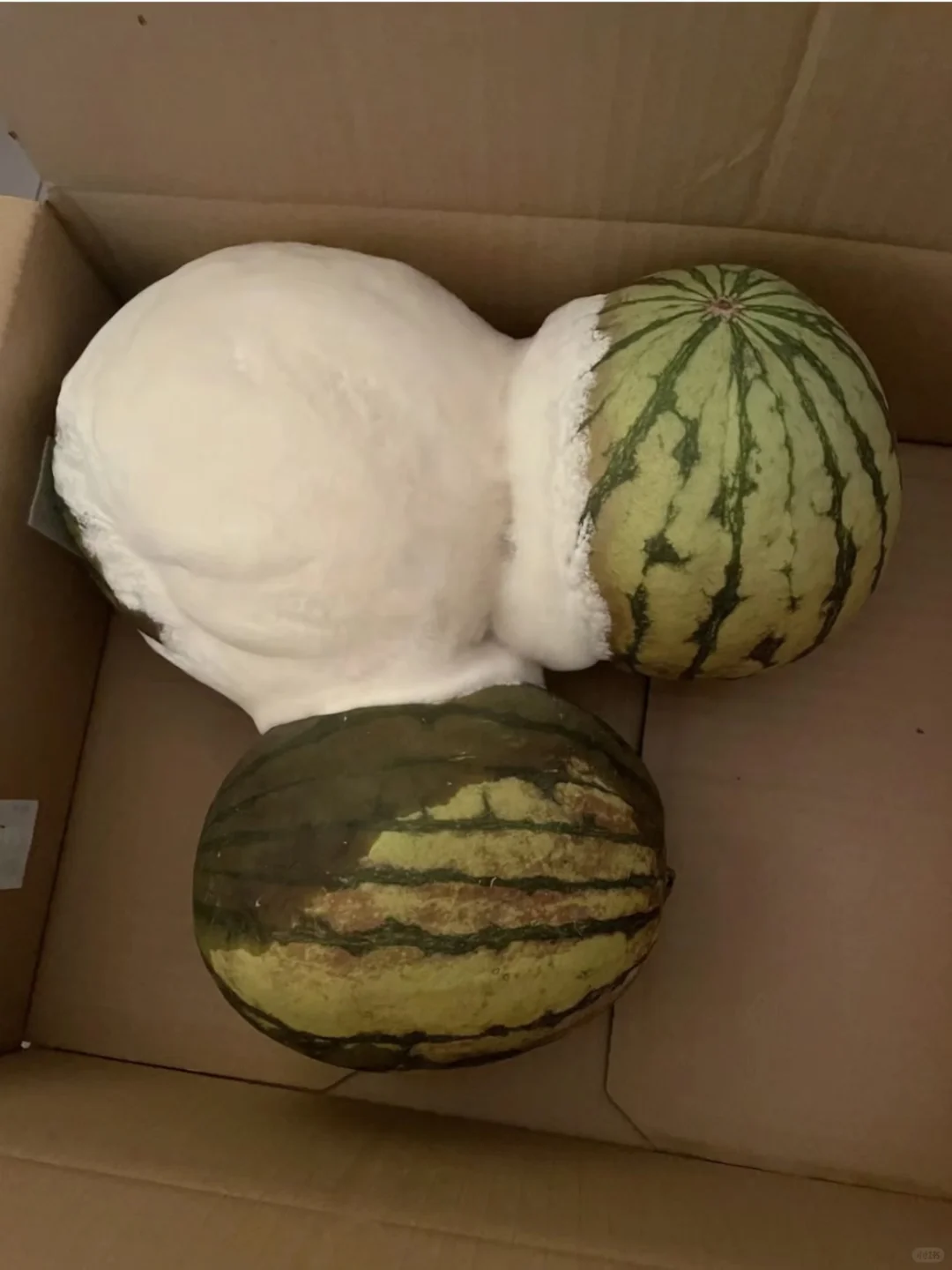 发现没？考雅思的风向已经变了...