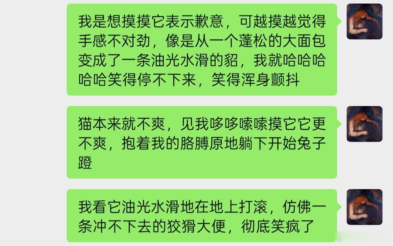 大暑例行给猫剪毛，手一滑把它后背剪凹一块，于是面多了加水水多了加面越修越短，硬生