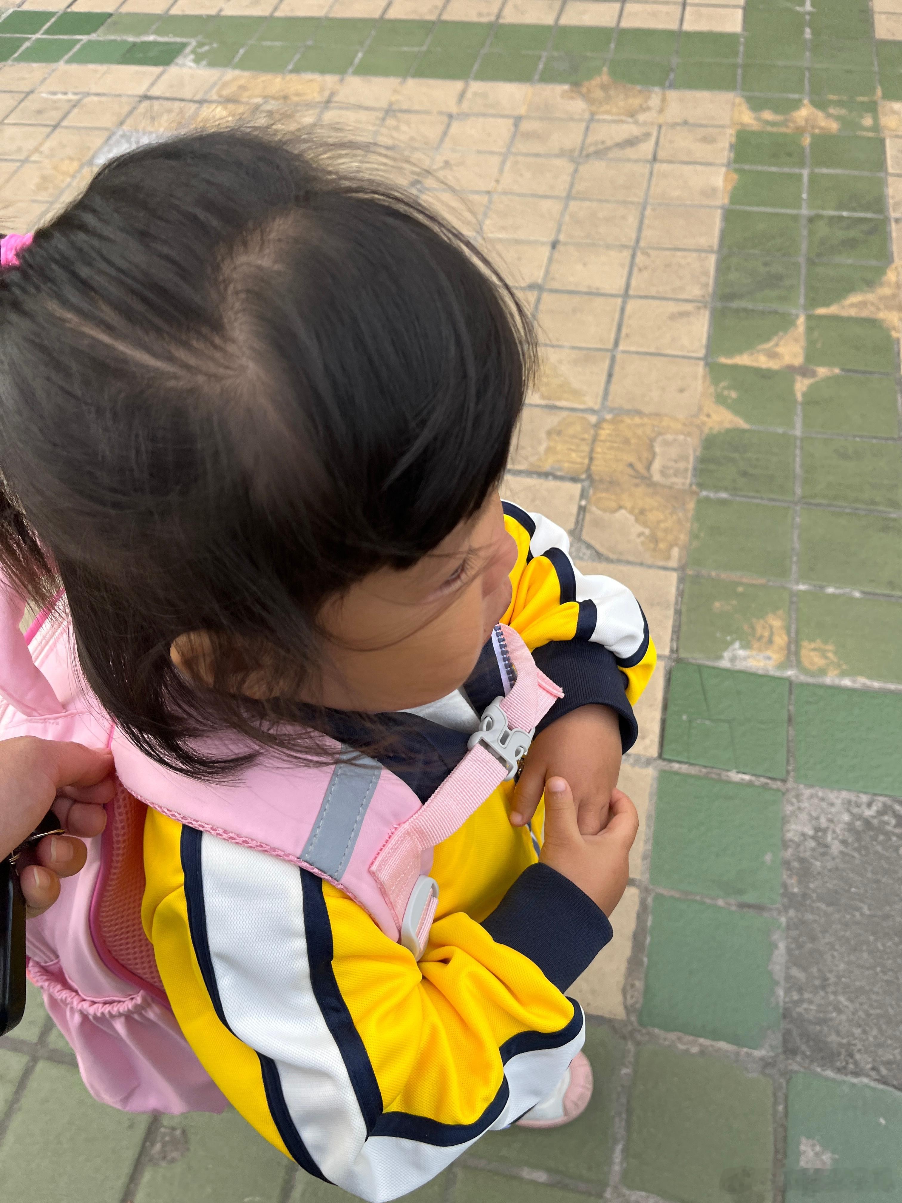 女儿昨晚给我交代一个任务，说要去广州，看植物园，我说是动物园吧！她说是。我说你怎