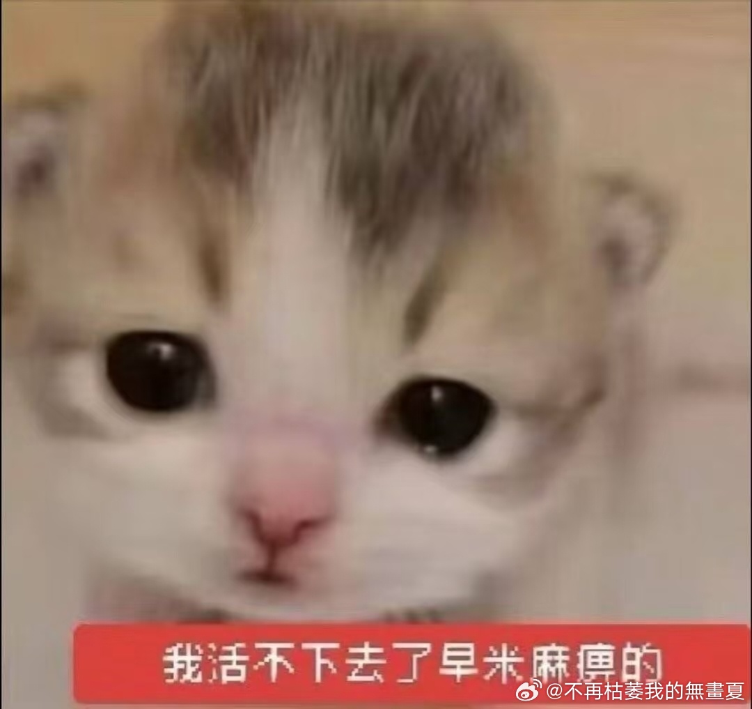 全世界都在蹭迪丽热巴的热搜，只有我感觉身体变得凉凉的，呼吸也慢慢平缓下来……（这