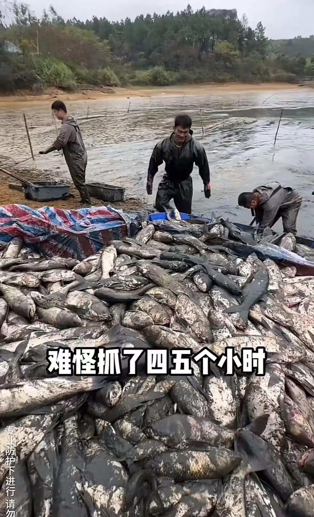 那天，男孩站在那片略显荒凉的鱼塘边，眼眶泛红，却依然坚持着用微弱的声音讲述着自己