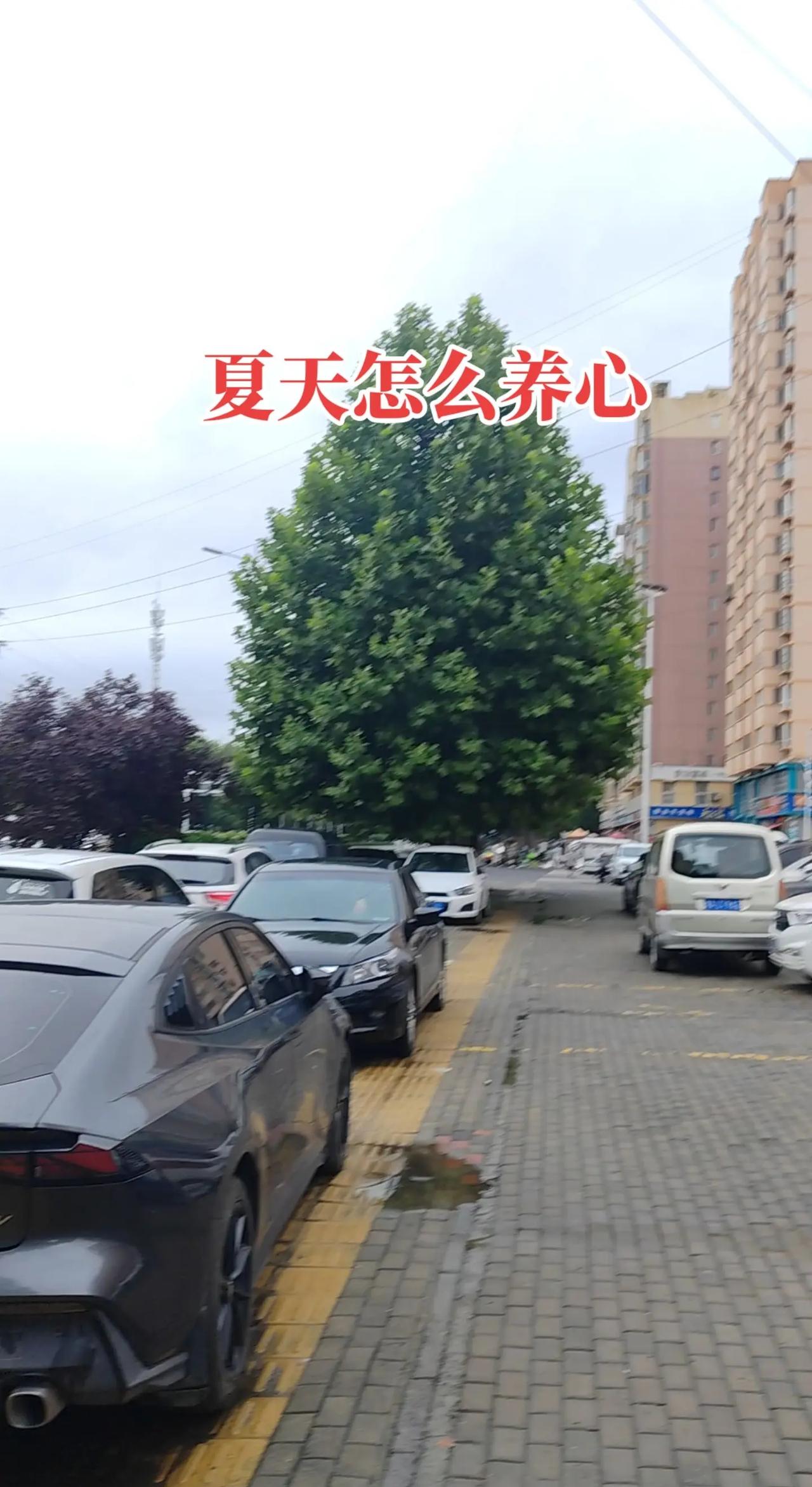 文班亚马毫无悬念当选西决MVP，马刺抢七淘汰雷霆荣获西部冠军，高歌猛进闯入总决赛