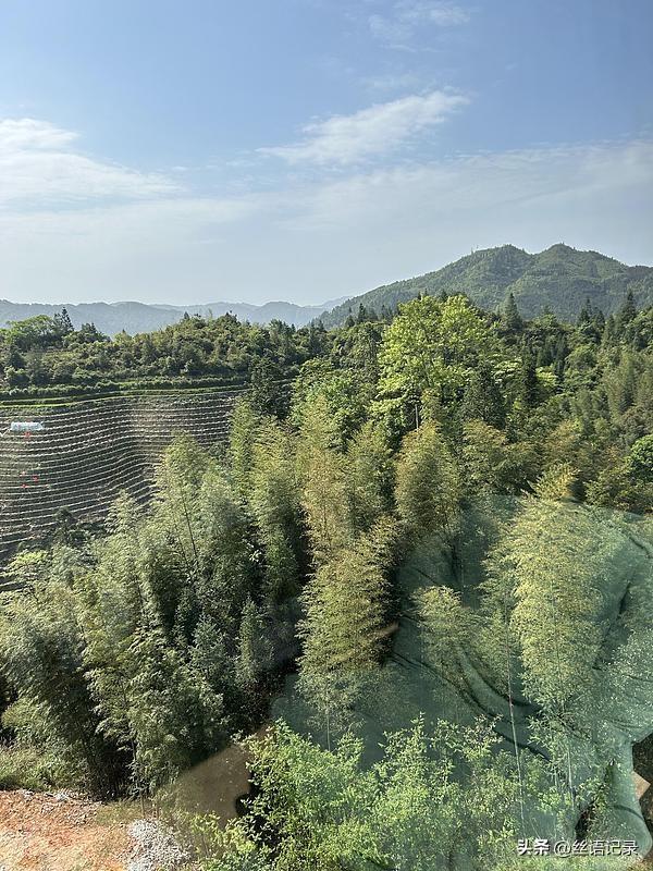 不必追随别人
放慢脚步
可以欣赏到更多的
美的风景