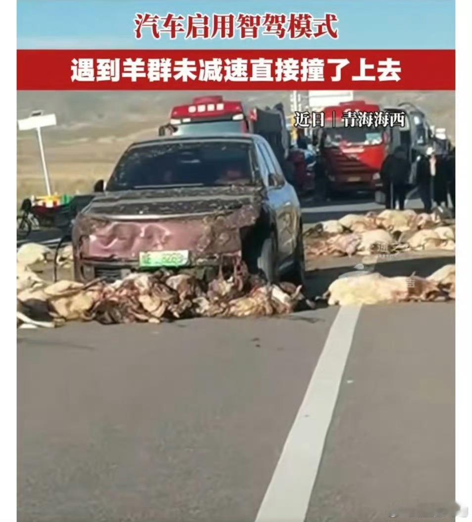 汽车启用智驾模式撞上羊群这台不是理想的汽车吗？理想的辅助驾驶本来就不行啊，但不代