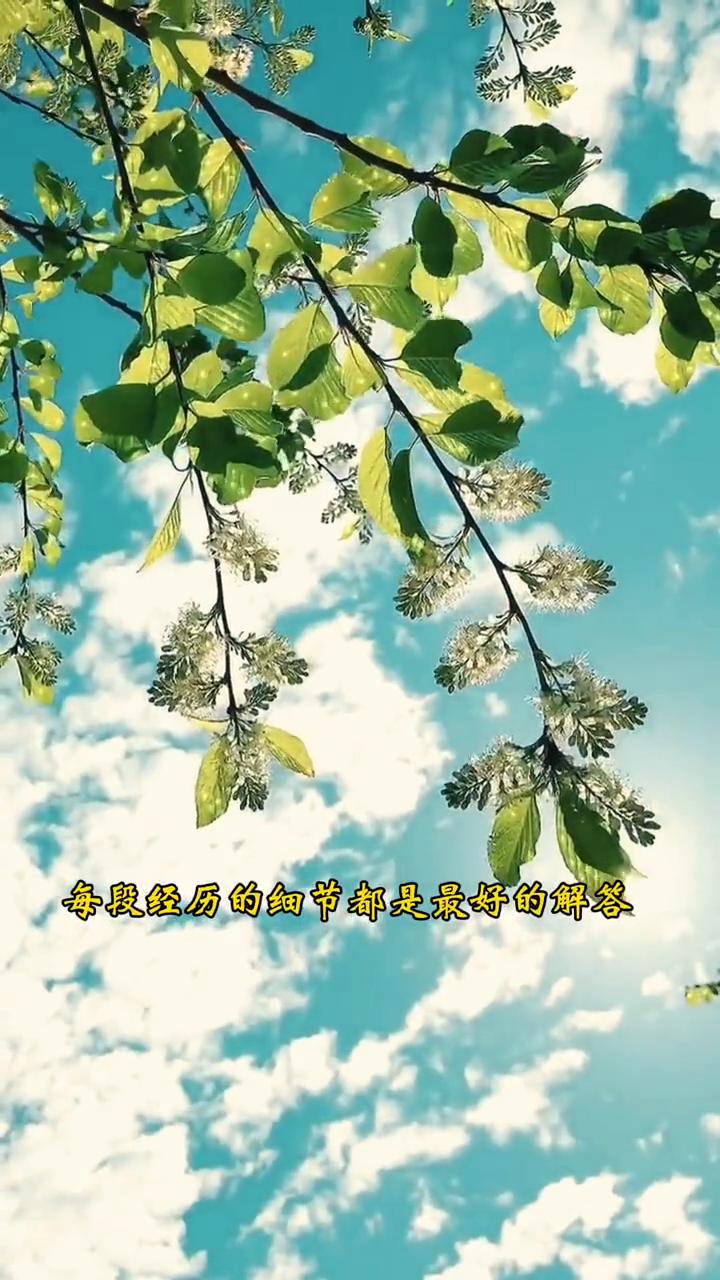 解答。
不必为得不到的答案纠结追问，回头望，每段经历的细节都是最好的解答。最美的
