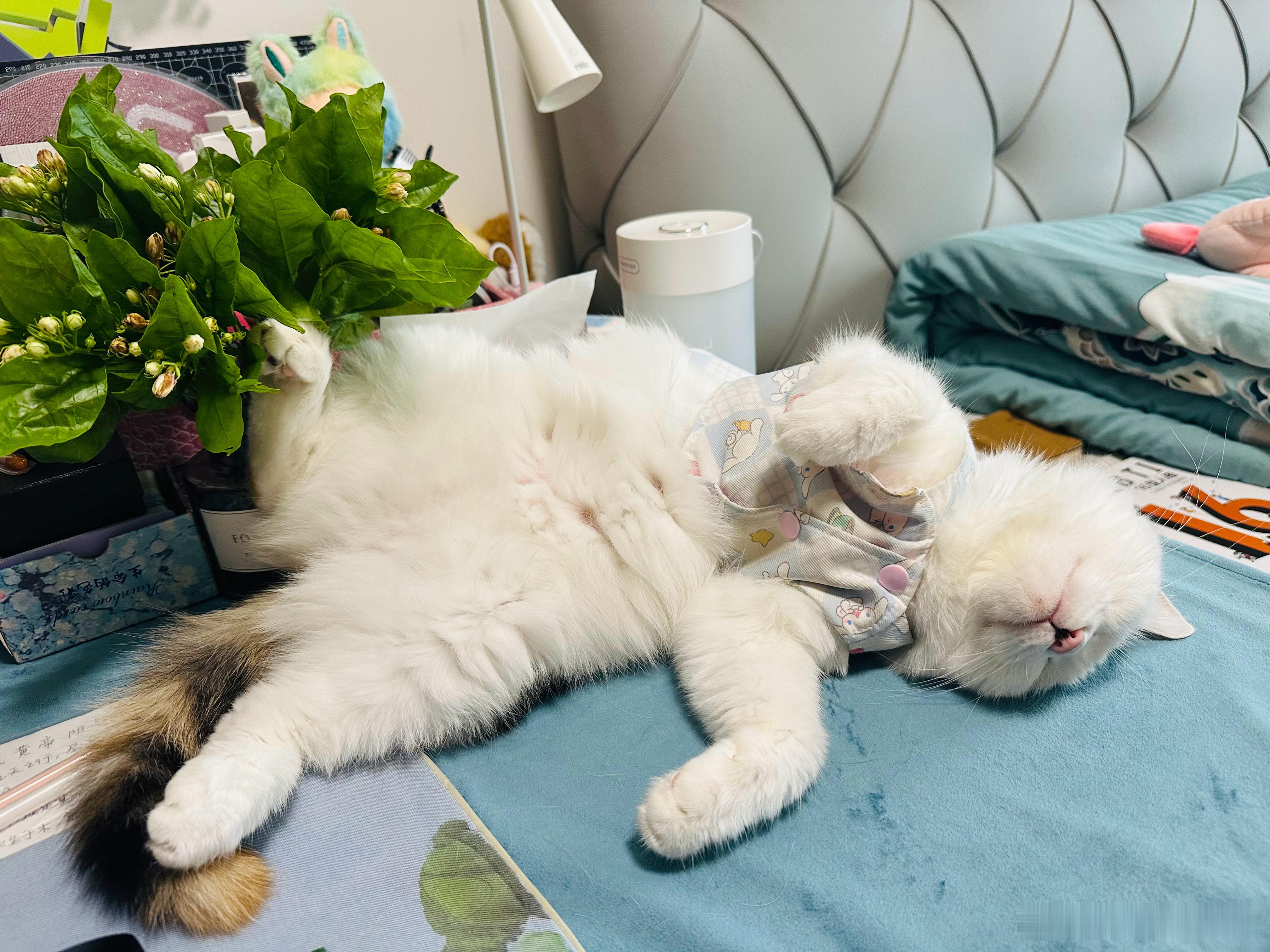 没有“知易行难”这回事。如果有，也是因为那“知道”=“听说过”。人生所有变现皆是