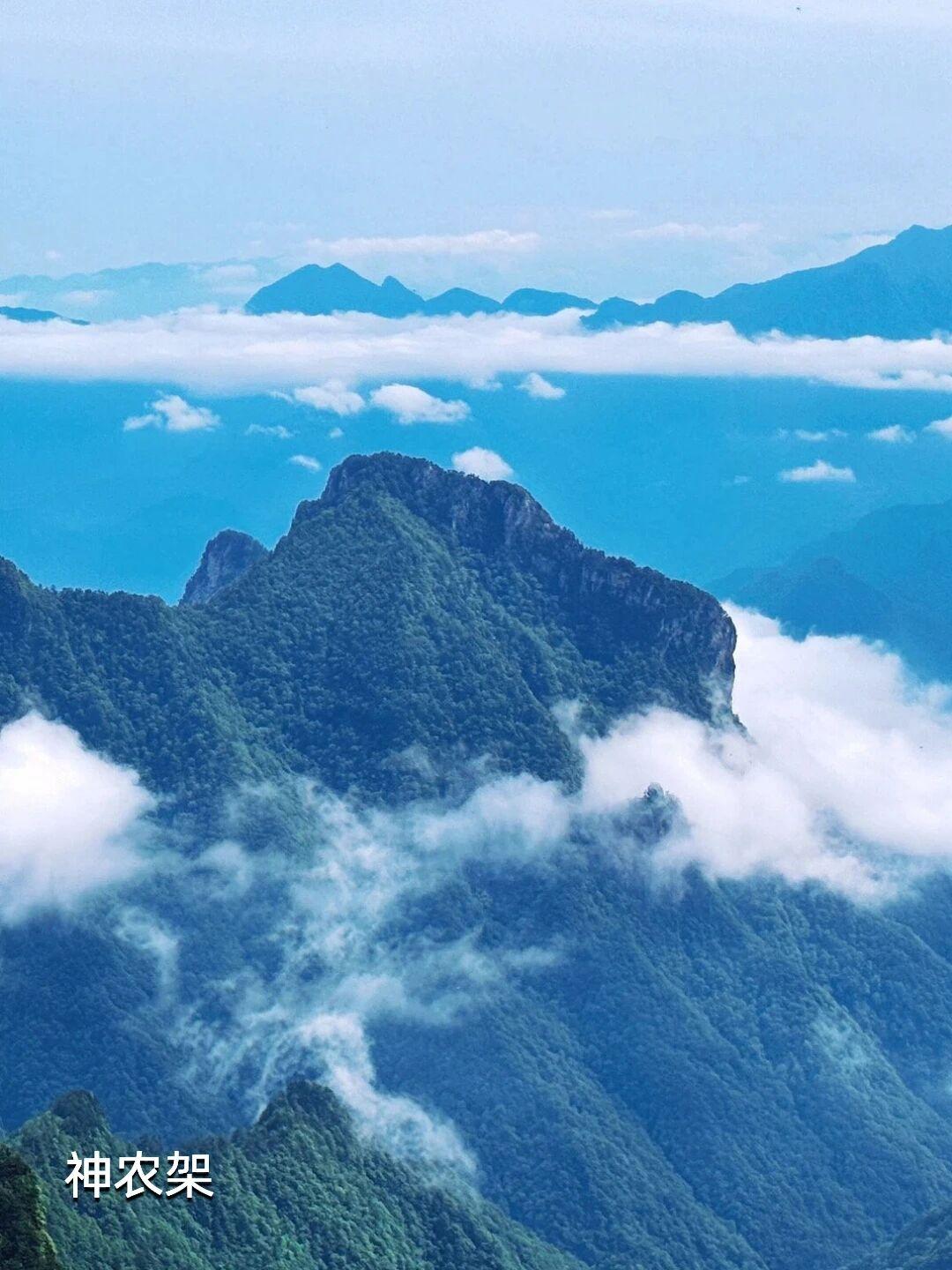 与其困在空调房里等秋风，
不如去这9个神仙避暑地，
过一个均温22℃的夏天🌿。