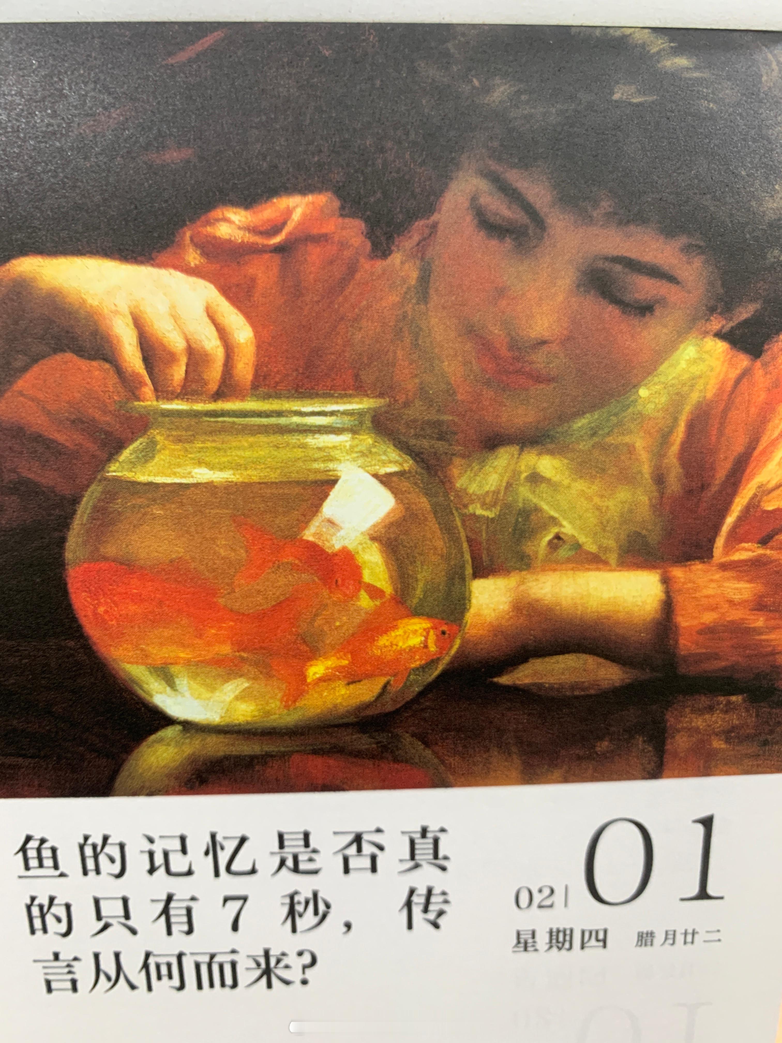 朋友们早，鱼的记忆真的只有7秒吗[疑問] ​​​