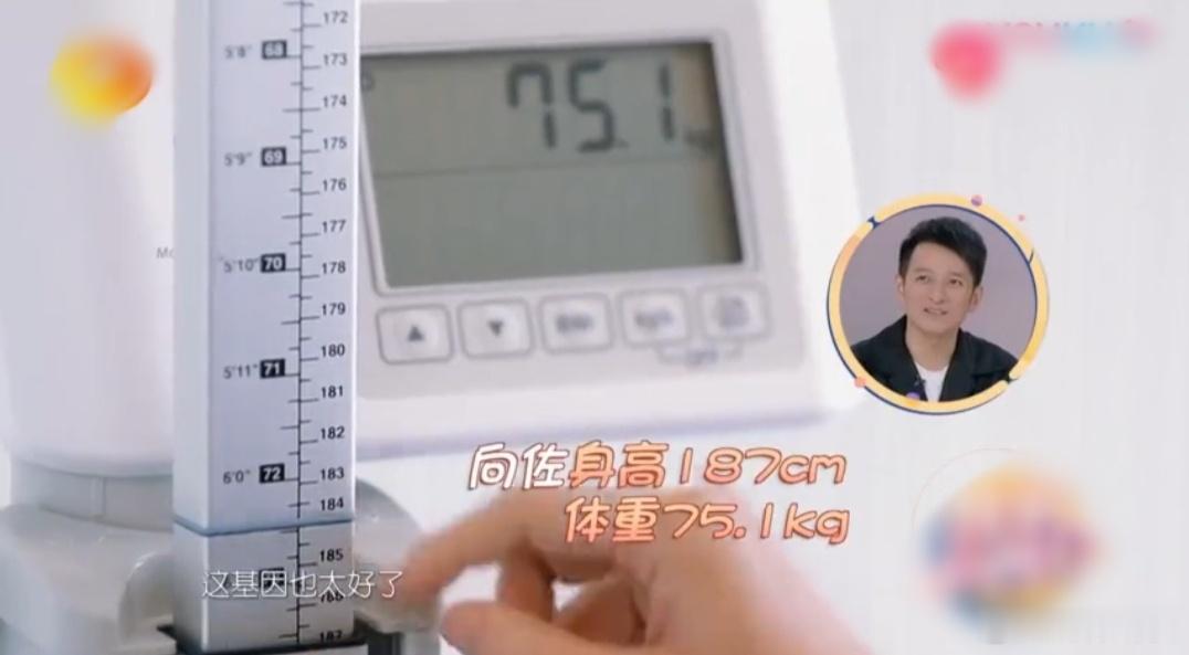 什么？向佐身高186厘米？ 我一直以为他1米7出头 没想到他快1米9了。 图一是