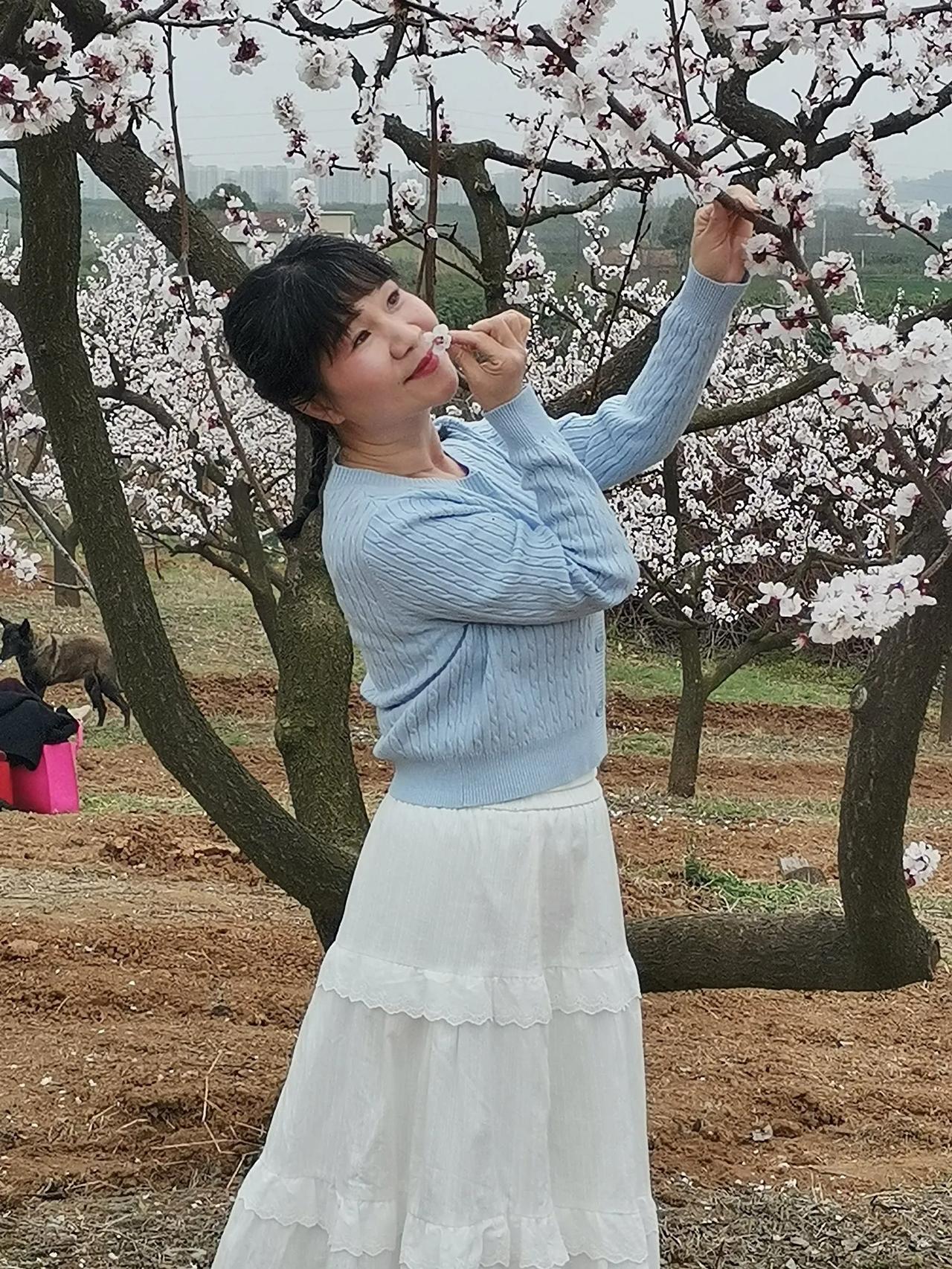 杏花
唐·罗隐
暖气潜催次第春，
梅花已谢杏花新。
半开半落闲园里，
何异荣枯世